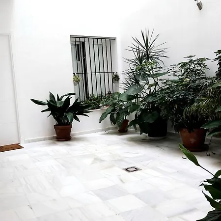 Entrearcos アパート カディス